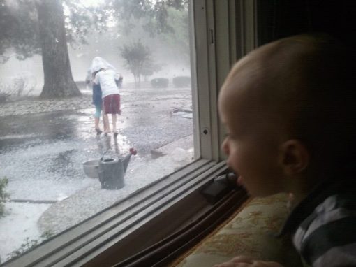 Baby Bridger watching the storm