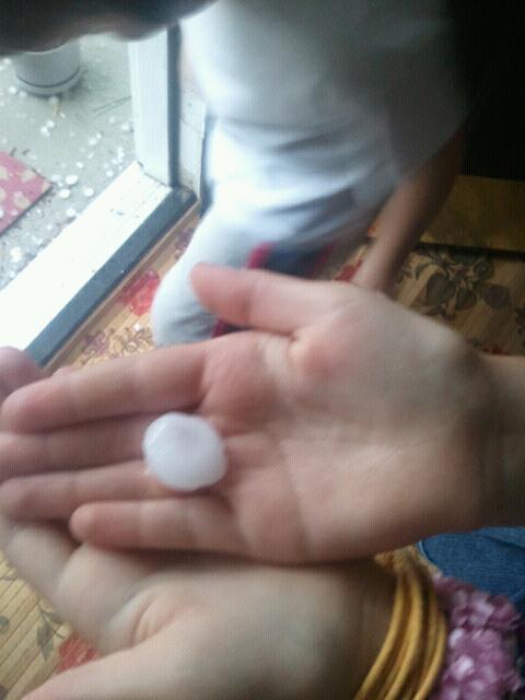 hila's hail